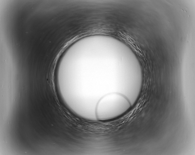 X0000098230244200804241207
