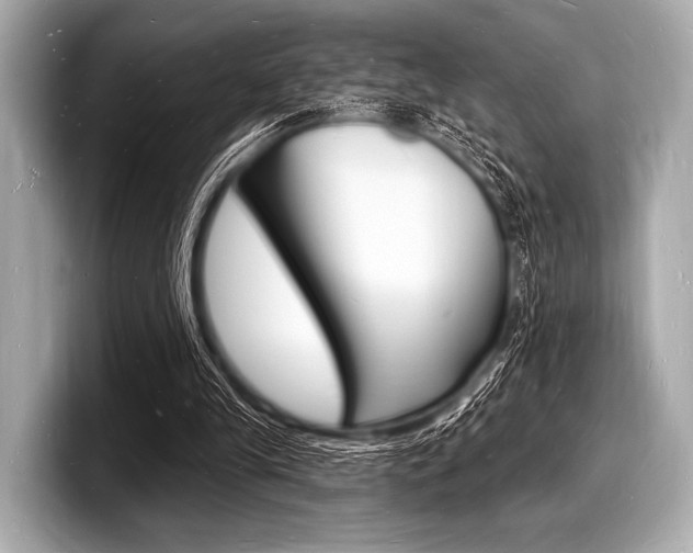 X0000098230245200804241207