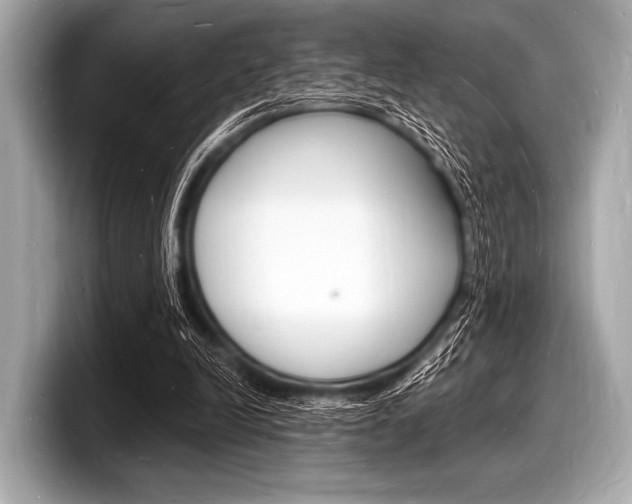 X0000098230246200804241207