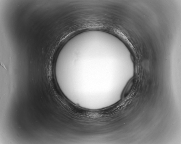 X0000098230249200804241207