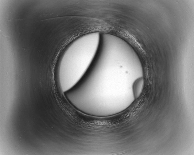 X0000098230250200804241207