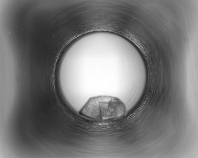 X0000098230252200804241207