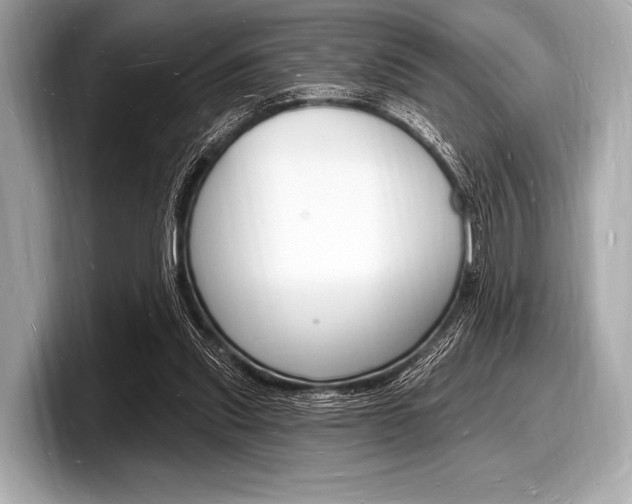 X0000098230253200804241207
