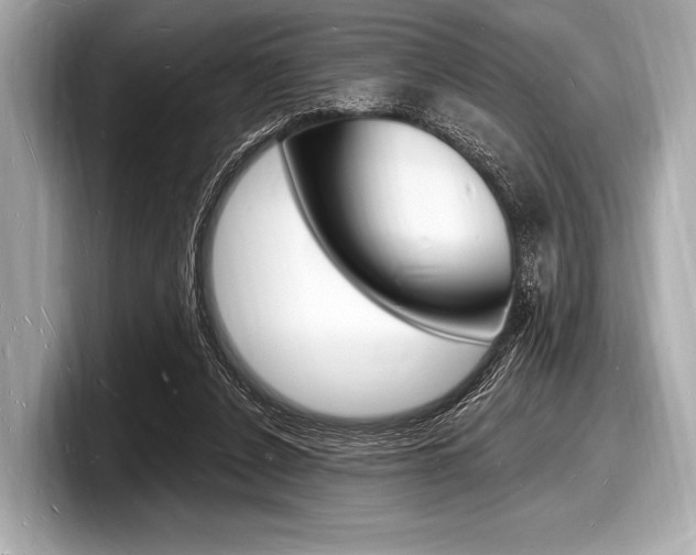 X0000098230256200804241207