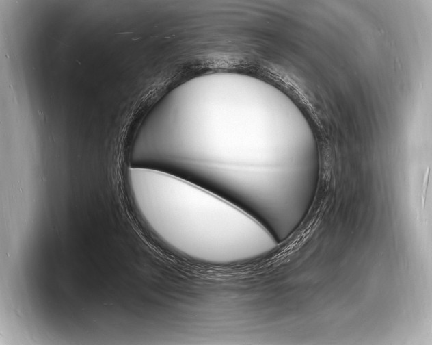 X0000098230257200804241207
