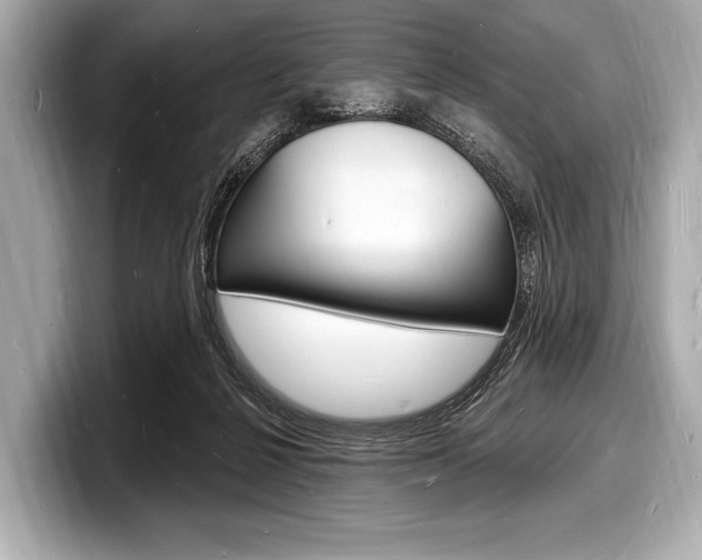 X0000098230264200804241207