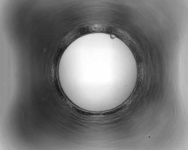 X0000098230266200804241207