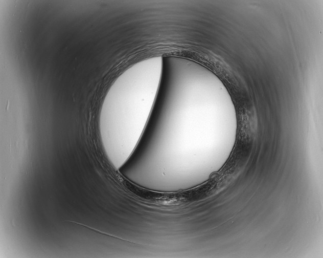 X0000098230267200804241207