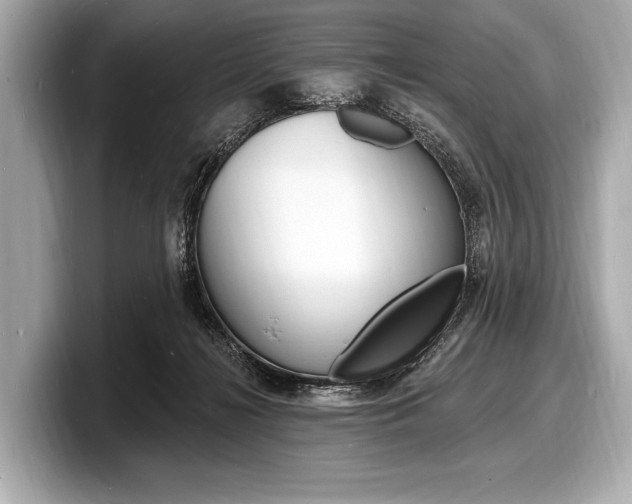 X0000098230268200804241207