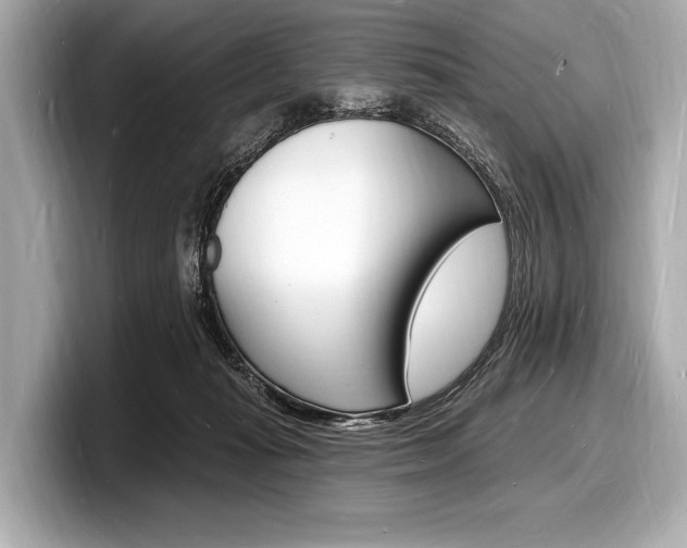 X0000098230269200804241207