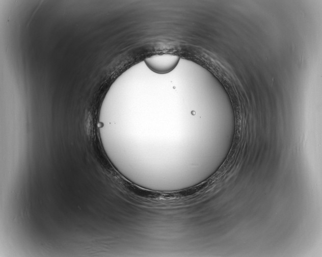 X0000098230270200804241207