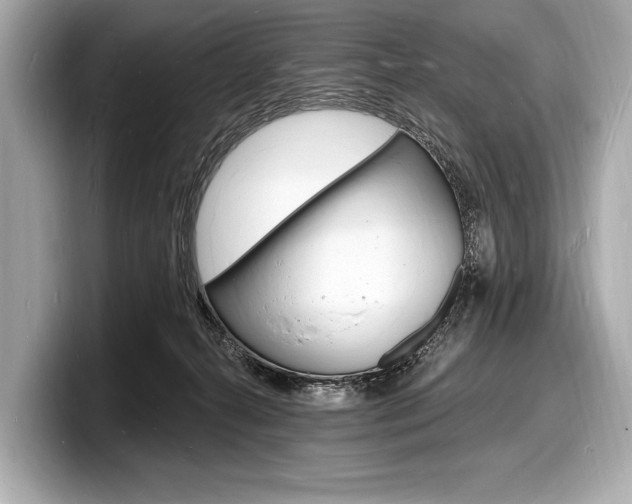 X0000098230272200804241207