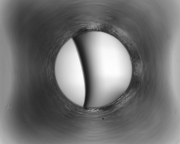 X0000098230273200804241207