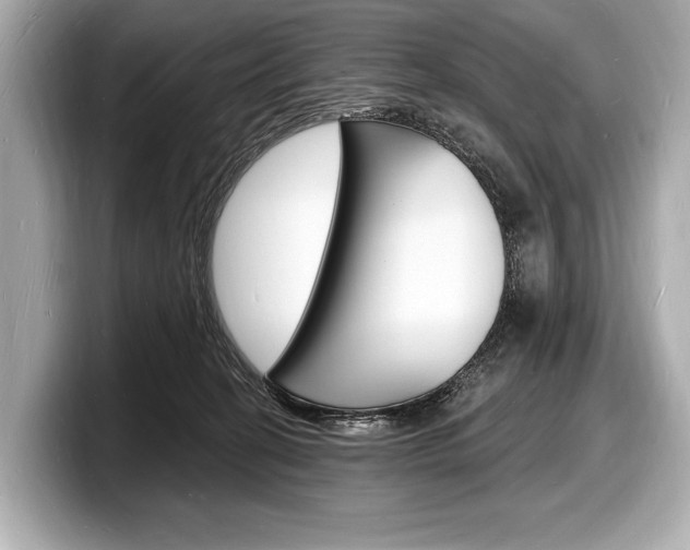 X0000098230274200804241207