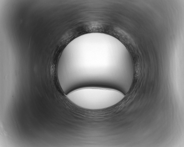 X0000098230278200804241208