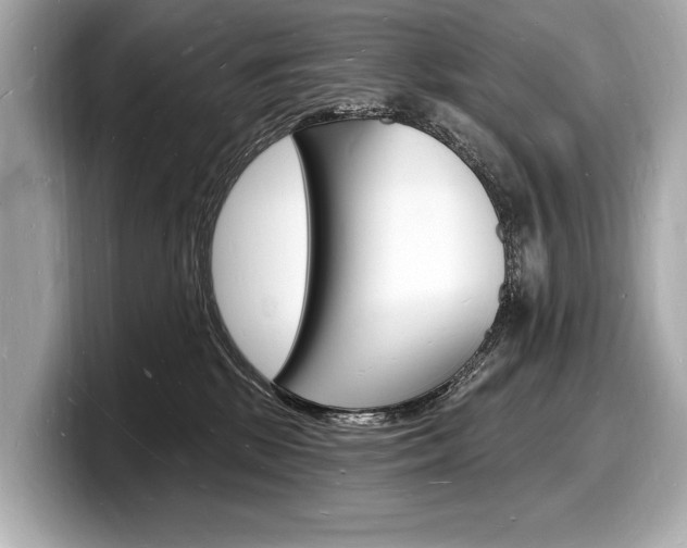 X0000098230281200804241208