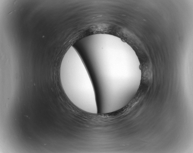X0000098230282200804241208