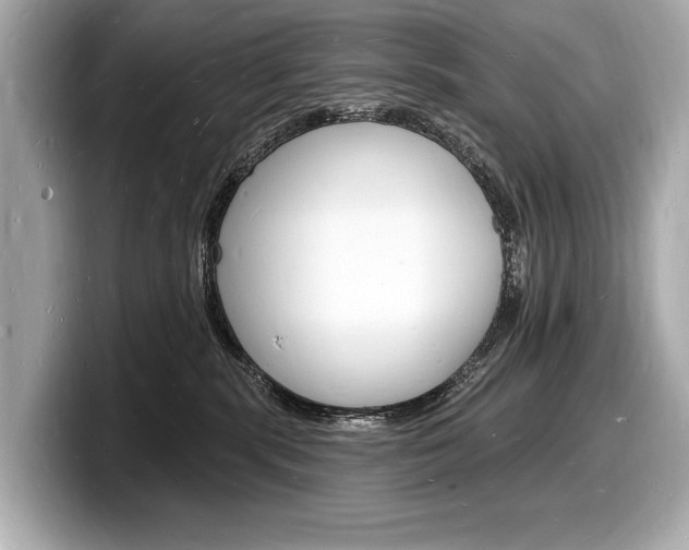 X0000098230283200804241208