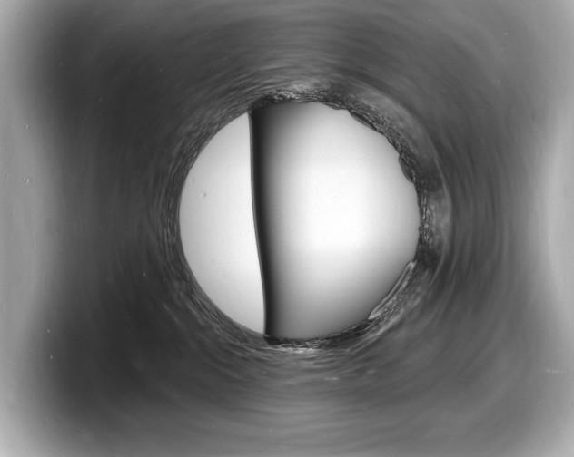 X0000098230284200804241208