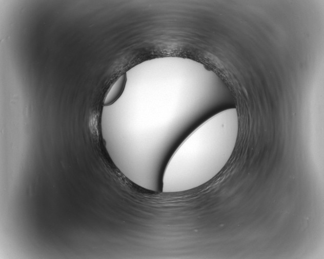 X0000098230286200804241208