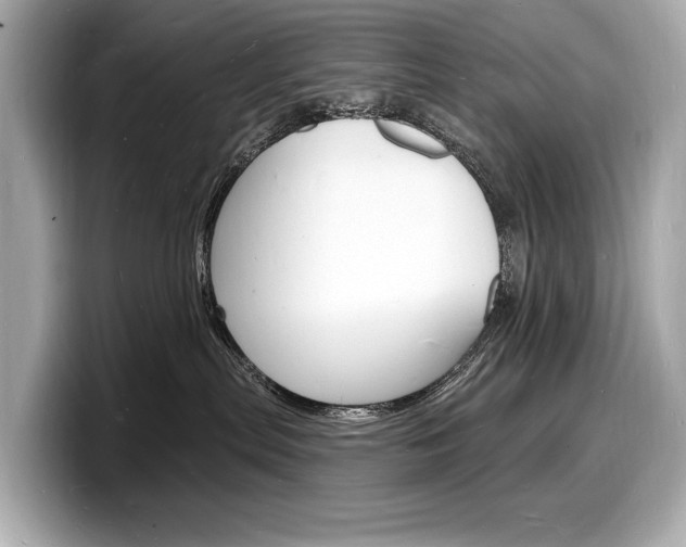 X0000098230287200804241208