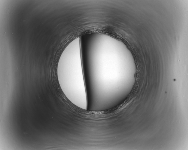 X0000098230288200804241208