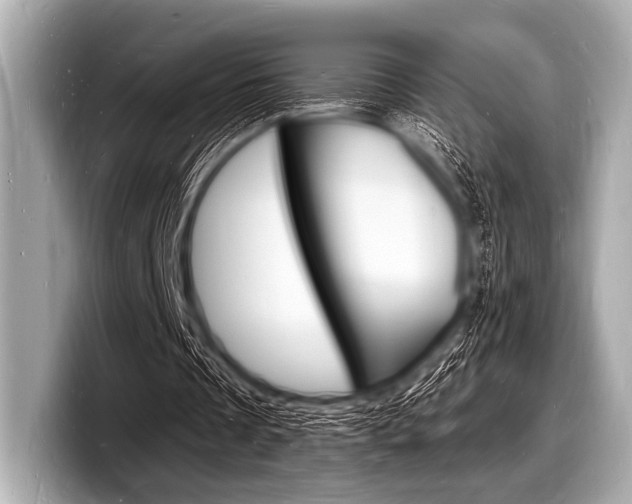 X0000098230289200804241207