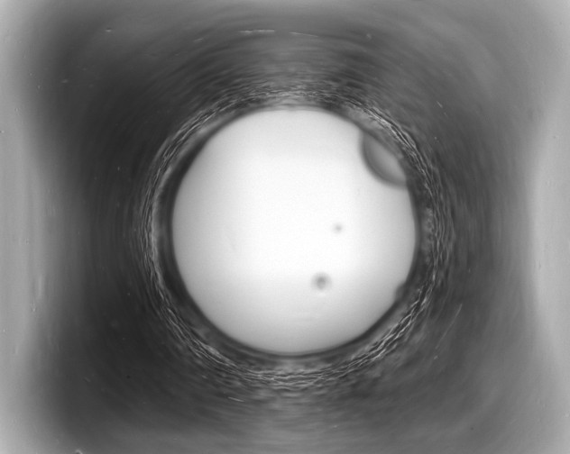 X0000098230290200804241207