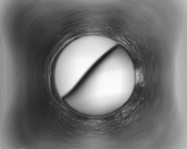 X0000098230291200804241207