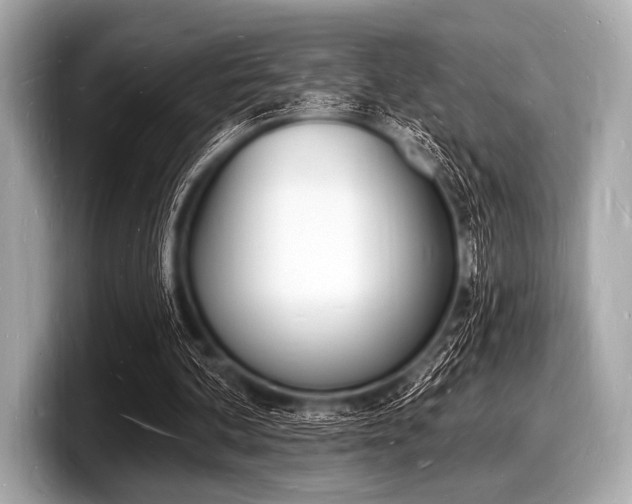 X0000098230292200804241207