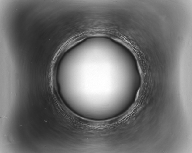 X0000098230293200804241207