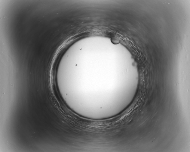 X0000098230294200804241207