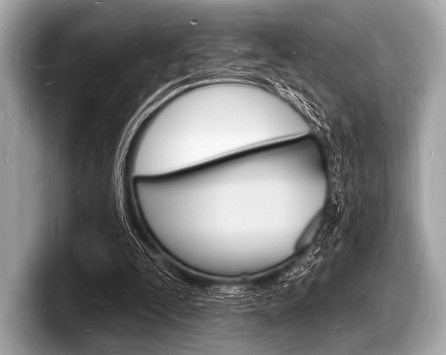 X0000098230295200804241207