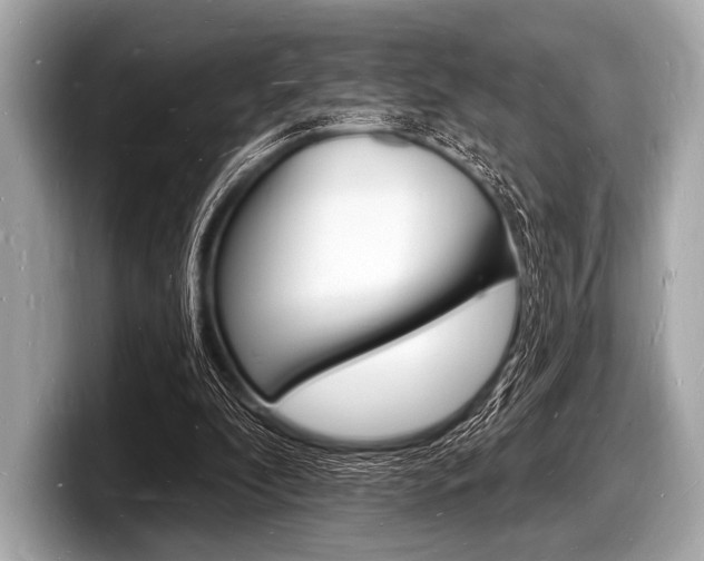 X0000098230296200804241207