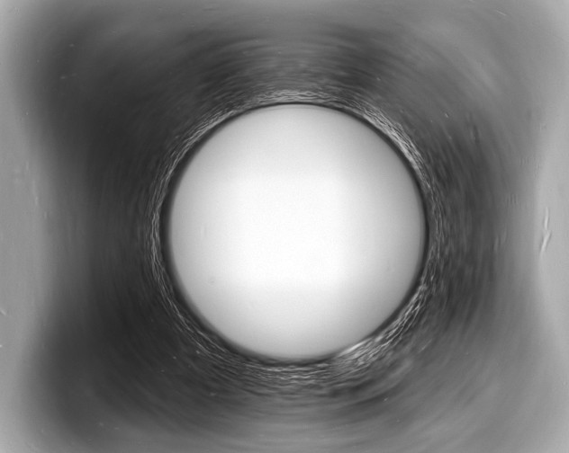 X0000098230297200804241207