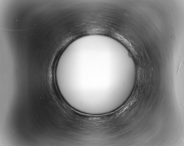 X0000098230298200804241207