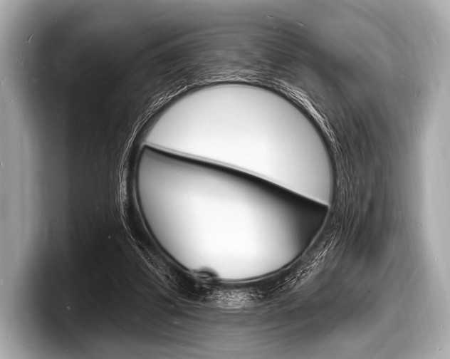 X0000098230299200804241207