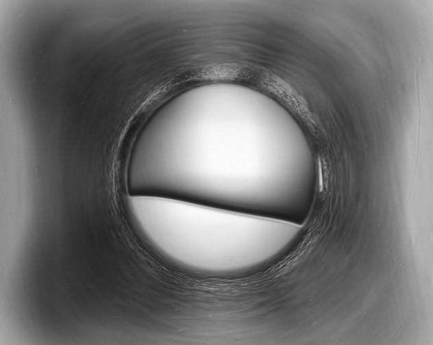 X0000098230300200804241207