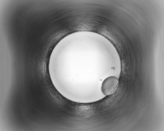 X0000098230302200804241207