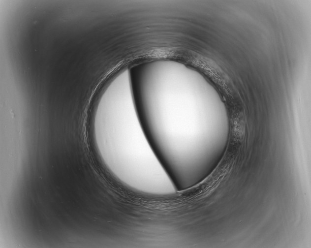 X0000098230304200804241207