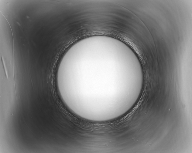 X0000098230305200804241207