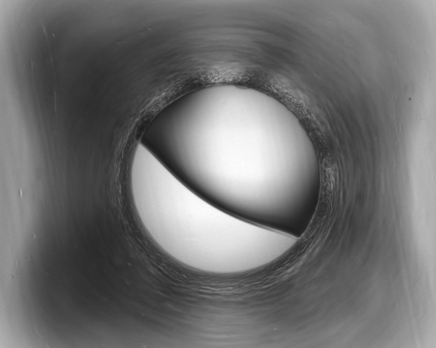 X0000098230308200804241207