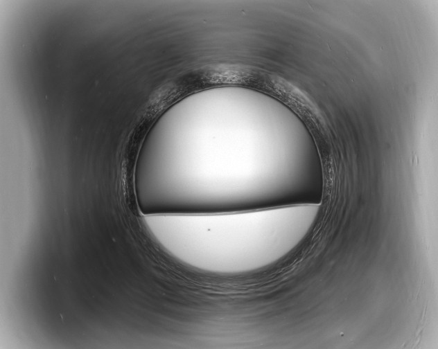 X0000098230312200804241207