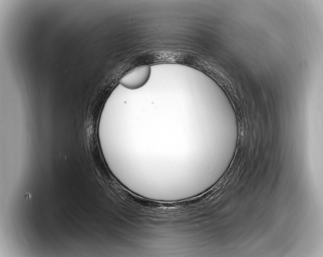X0000098230314200804241207