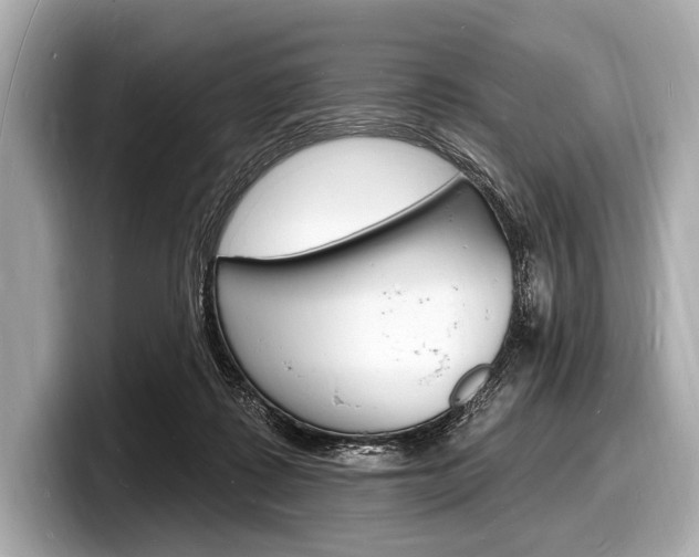 X0000098230315200804241207