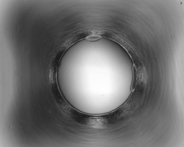 X0000098230316200804241207