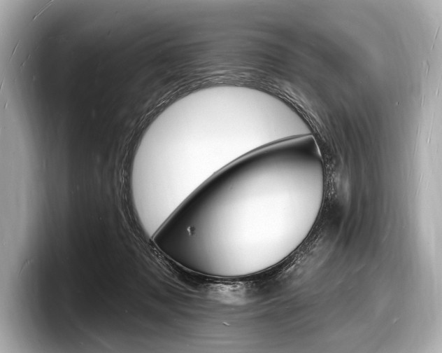 X0000098230317200804241207
