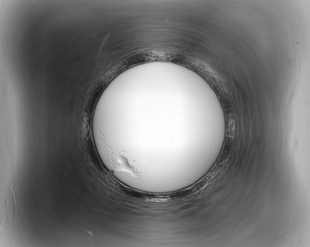X0000098230318200804241207