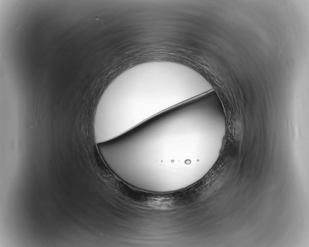 X0000098230319200804241207