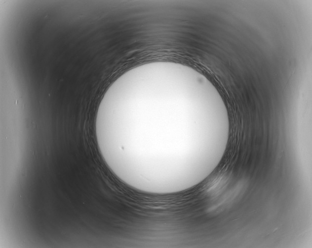 X0000098230323200804241207